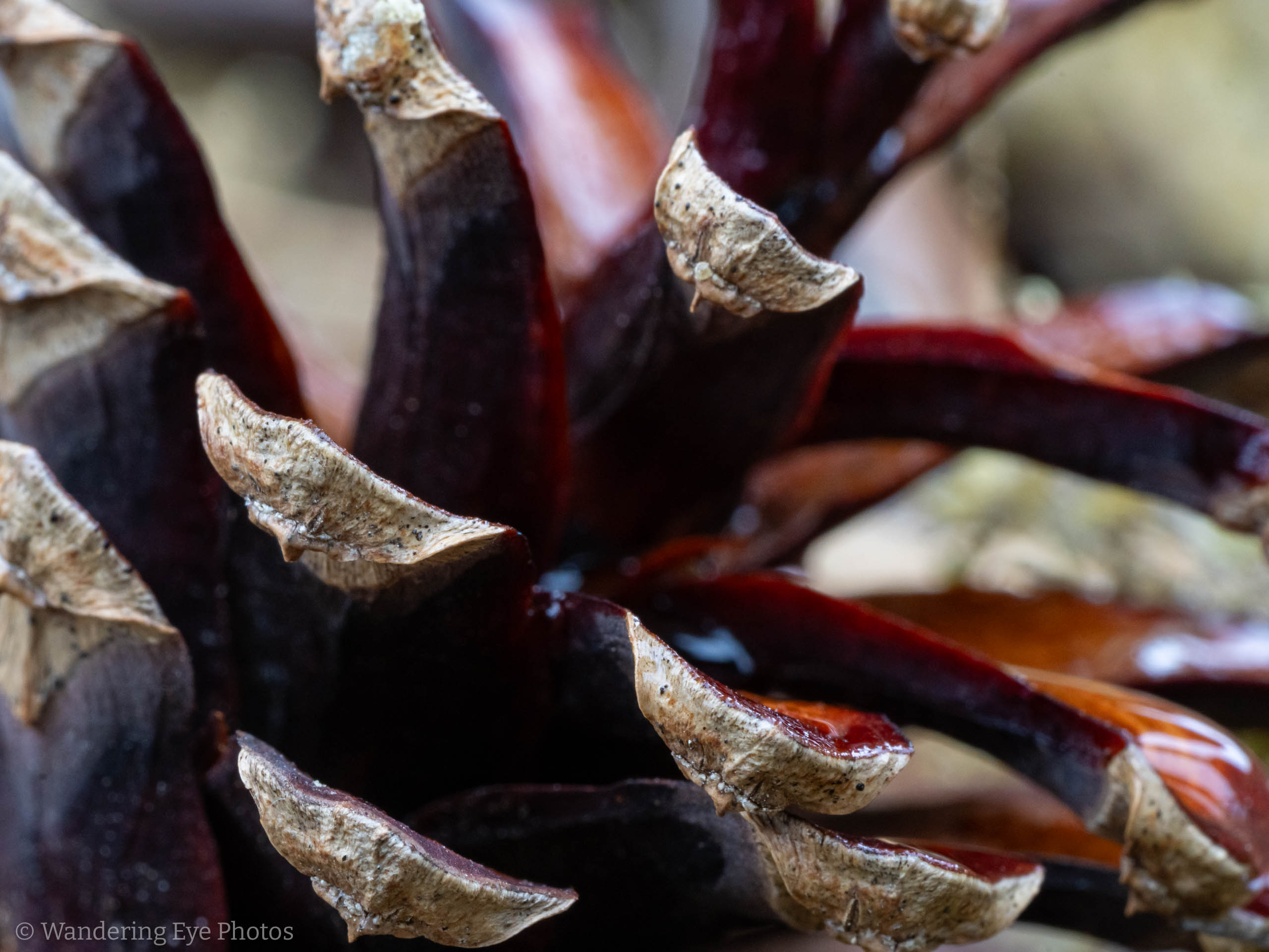 08.31 14.07.25   DSC02707